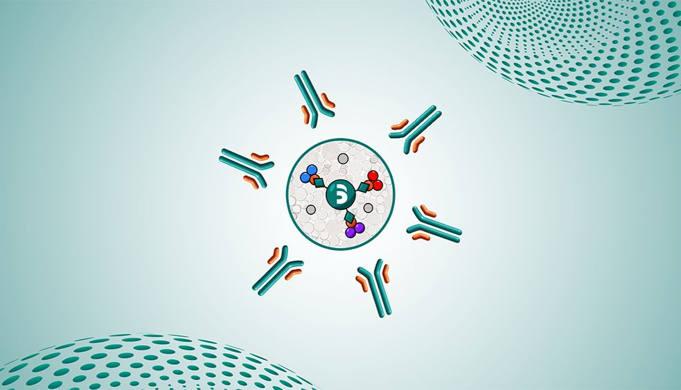 抗体亲和填料选型时，载量真的越高越好吗？