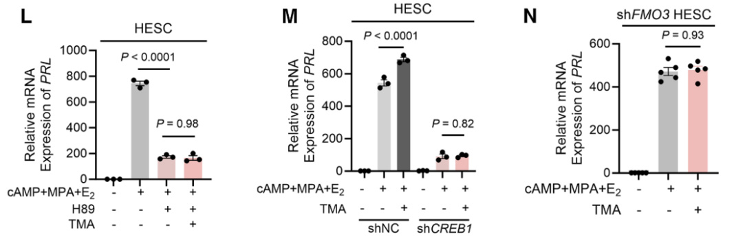 技术资料图片15