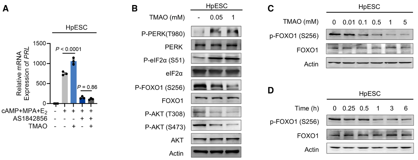 技术资料图片16