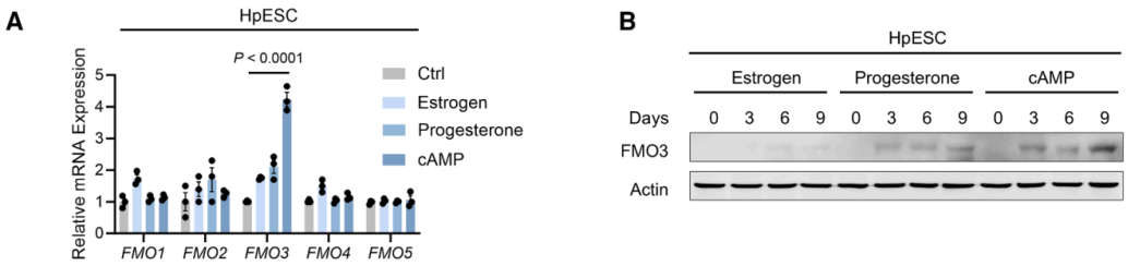 技术资料图片12