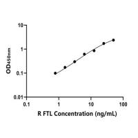 大鼠轻肽铁蛋白(FTL)ELISA试剂盒