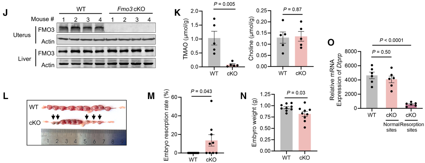 技术资料图片11