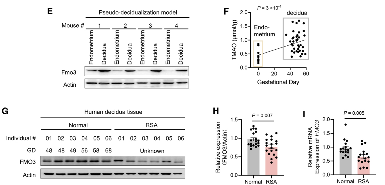 技术资料图片10