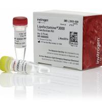 Invitrogen 脂质体3000转染试剂，L3000008