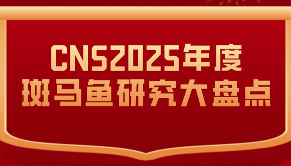 CNS年度大盘点丨 2025年这些斑马鱼研究突破，正引领科学研究新浪潮！