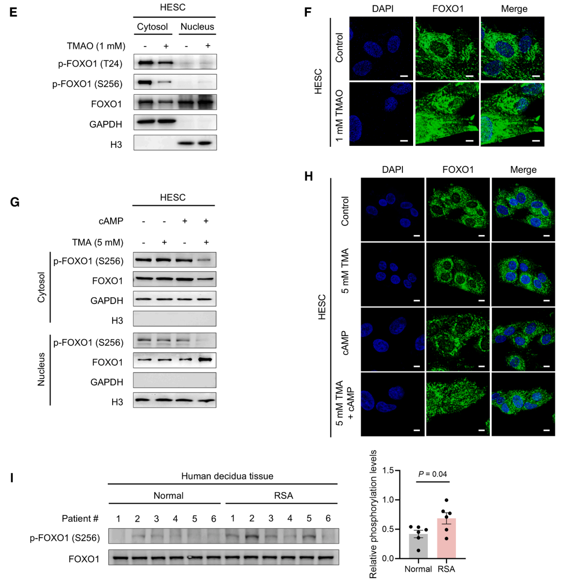 技术资料图片17
