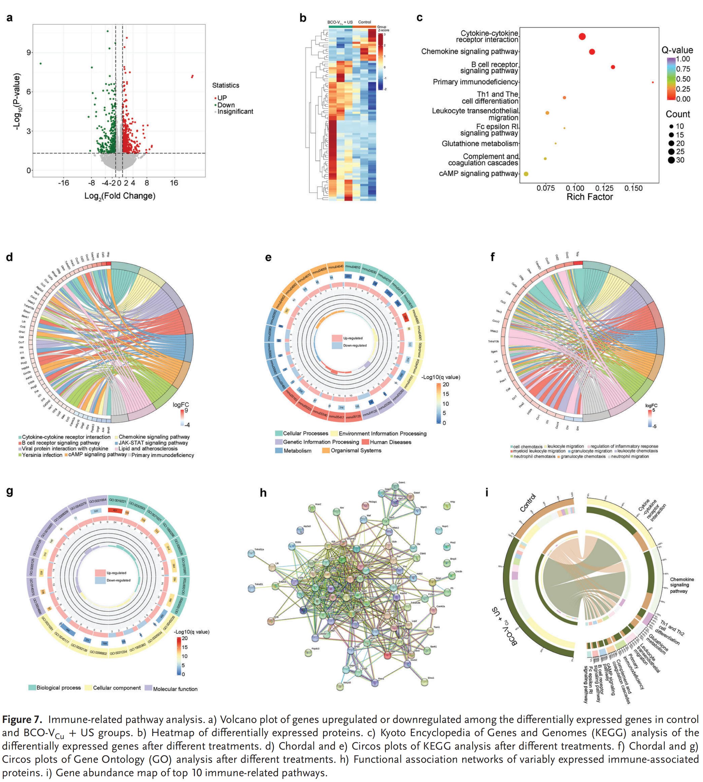 科研加油站 | 铁纳米材料用于细胞铜死亡