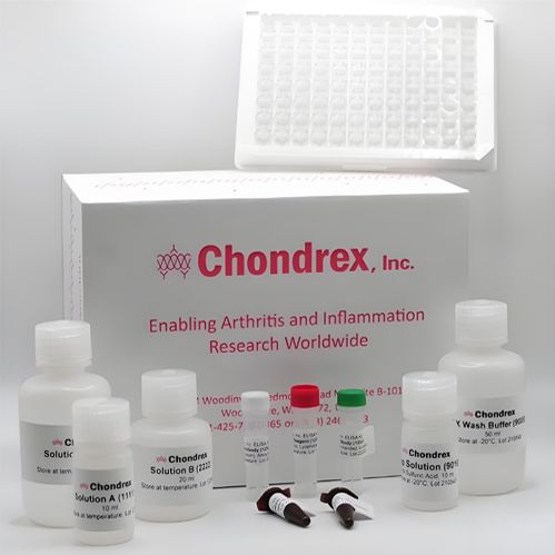 小鼠单核细胞趋化蛋白-1（MCP-1）ELISA 试剂盒