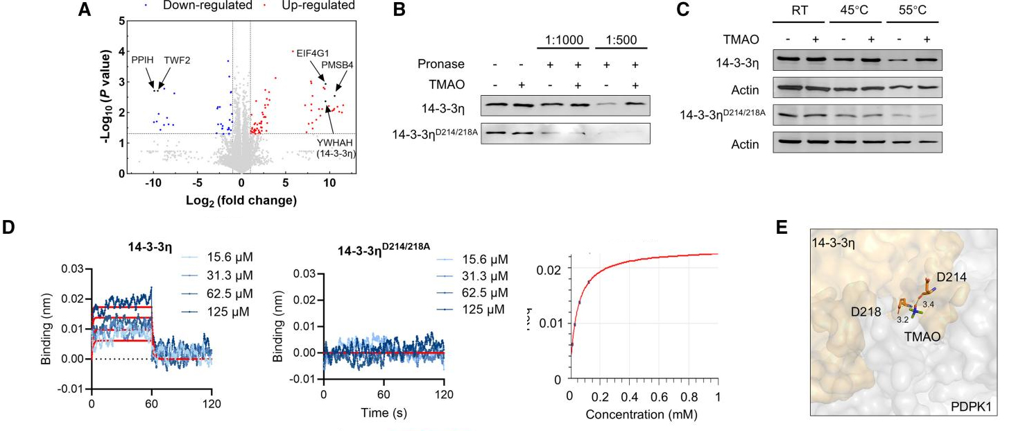 技术资料图片18