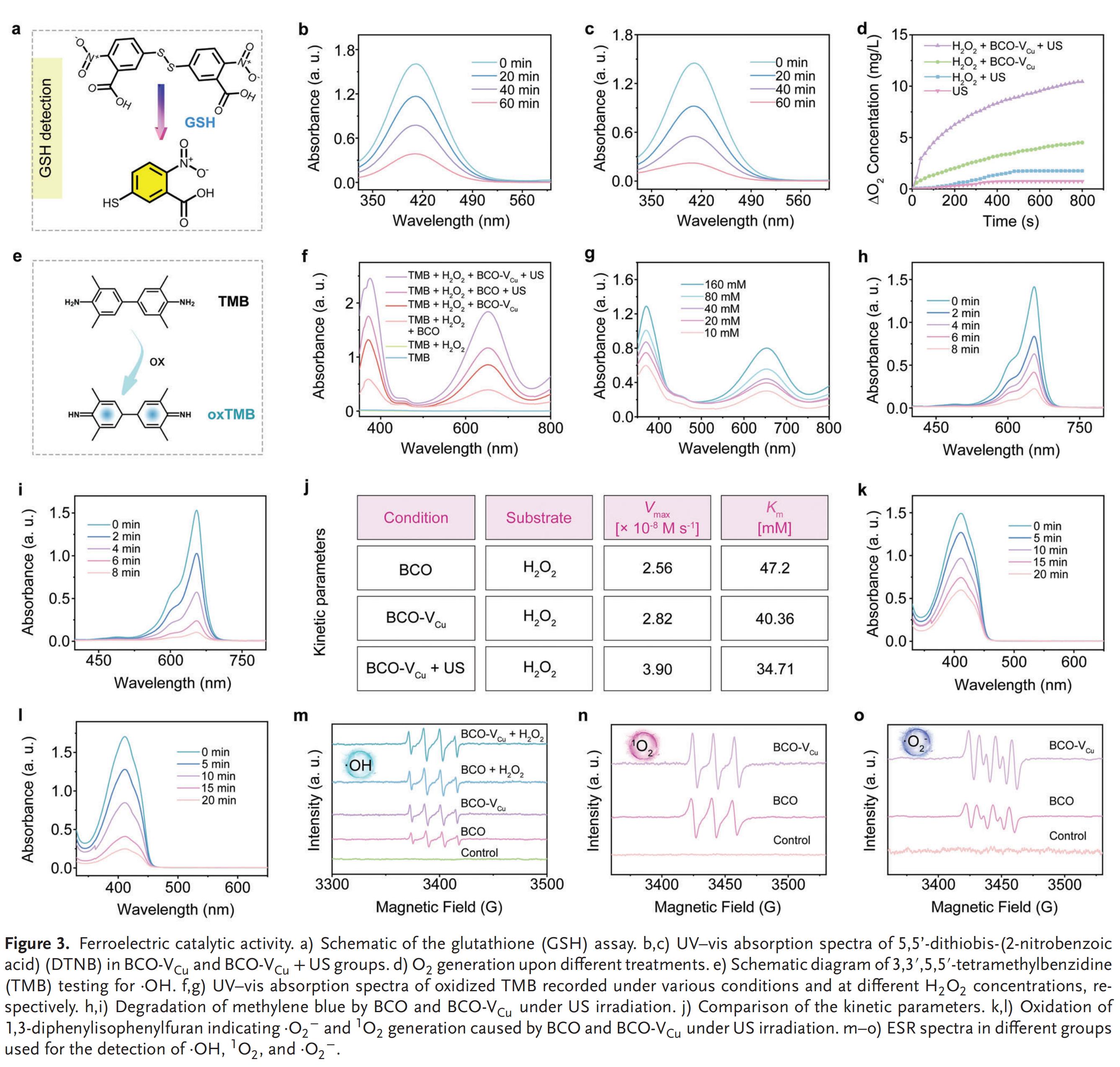 科研加油站 | 铁纳米材料用于细胞铜死亡