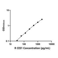 大鼠羧酸酯酶1(CES1)ELISA试剂盒