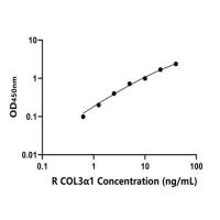 大鼠Ⅲ型胶原α1(COL3α1)ELISA试剂盒