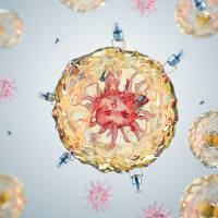 硫酸软骨素修饰的pH响应脂质体:实现对树突状细胞(Dendritic Cells, DCs)的选择性靶向与高效胞质递送