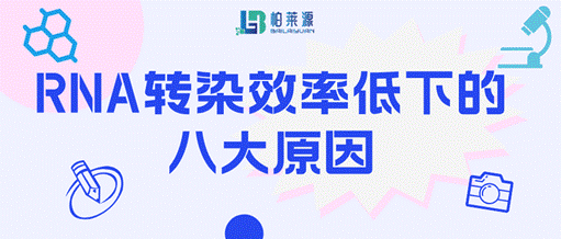 RNA转染效率低下的八大原因banner