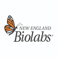 EnGen® Lba Cas12a（Cpf1）核酸酶 | NEB