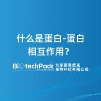 什么是蛋白-蛋白相互作用？