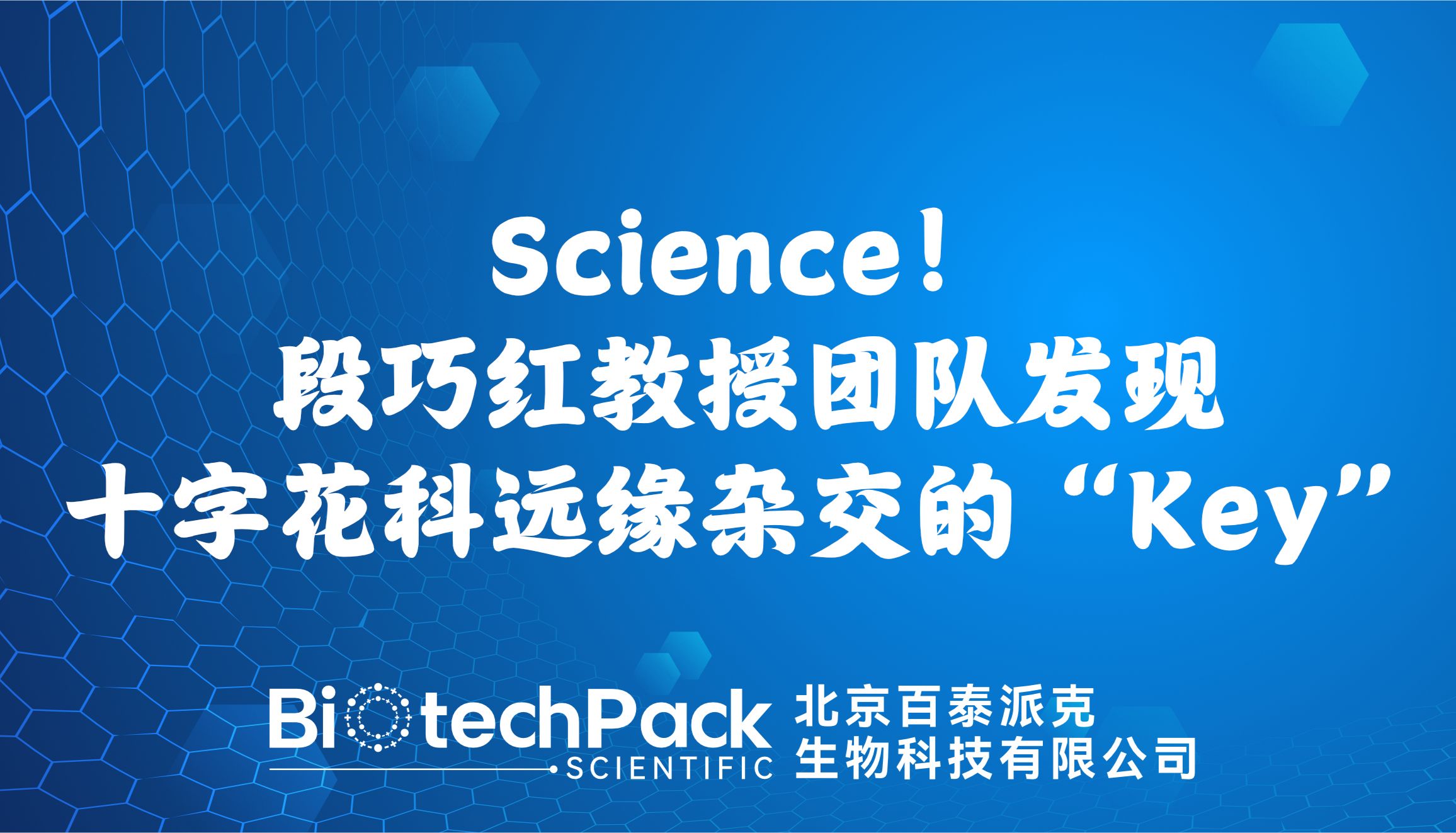 Science！段巧红教授团队发现十字花科远缘杂交的“Key”