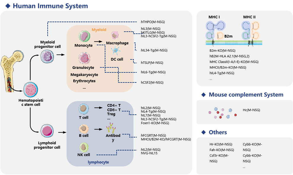 技术资料图片14