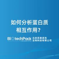 如何分析蛋白质相互作用?