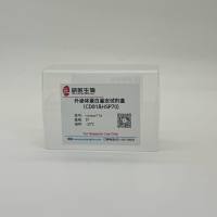外泌体蛋白鉴定试剂盒（CD81&HSP70)