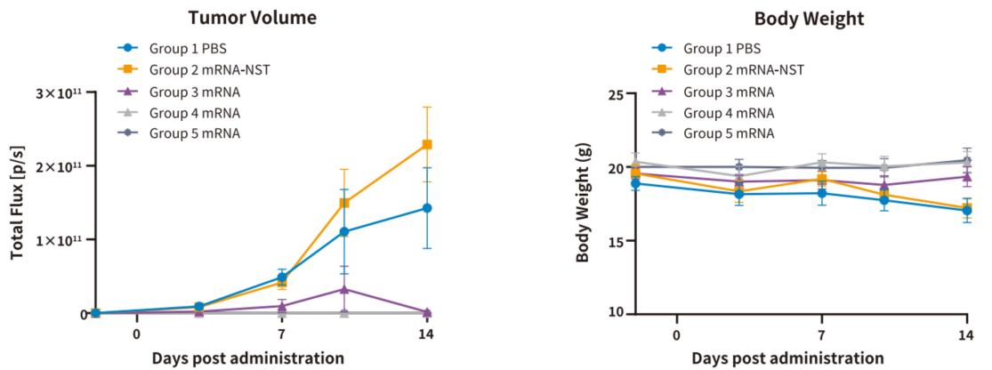 技术资料图片10