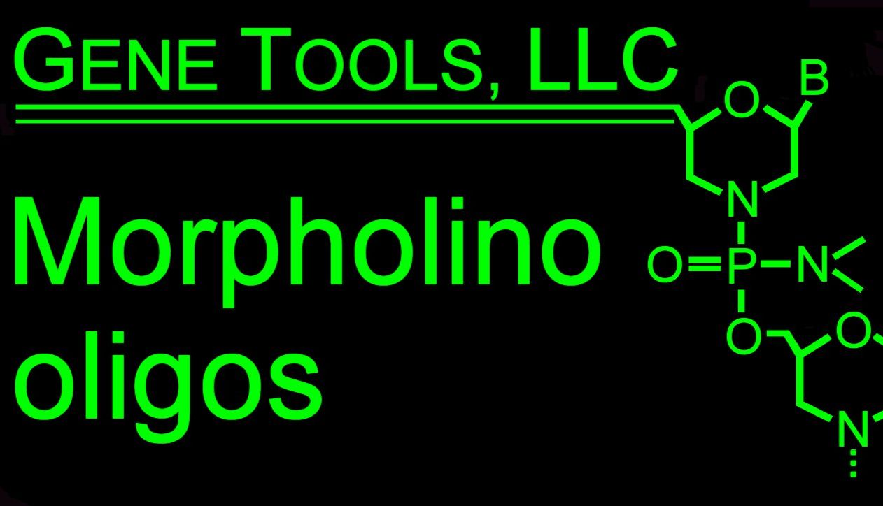 Gene Tools代理——柏莱源（天津）生物科技有限公司