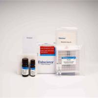 细胞活力化学发光法测试盒