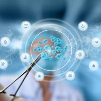 AS1411 适配体和 α-Gal 结构双特异性脂质体用于肿瘤靶向与免疫治疗