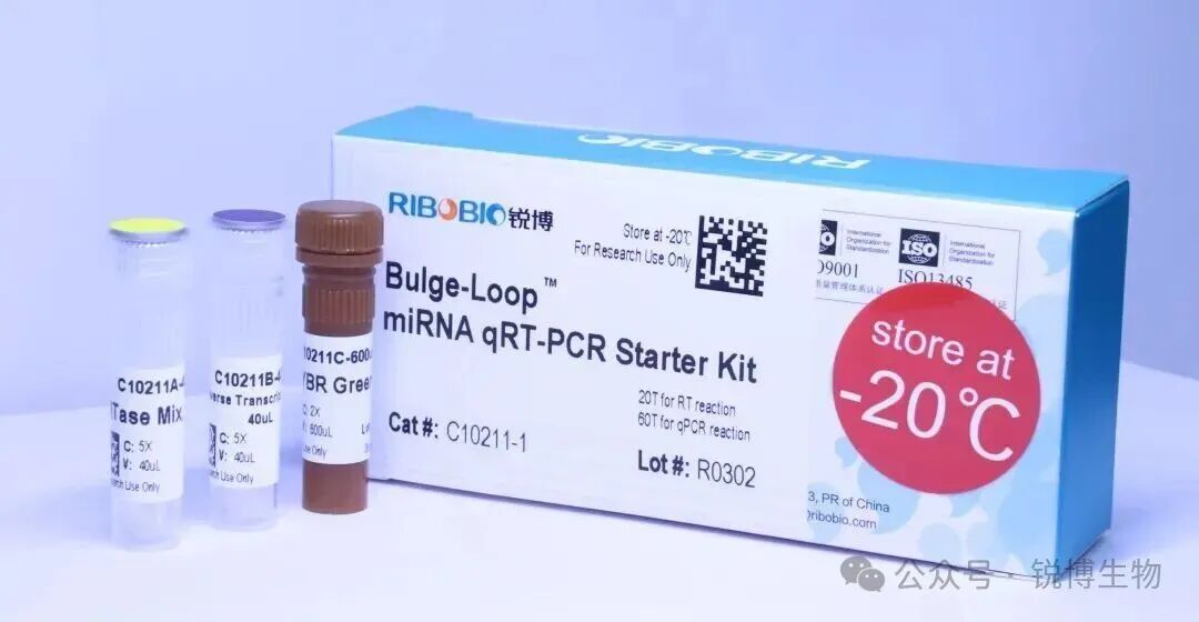 重复三次，效果各异？和不稳定的qPCR数据说 bye bye！！