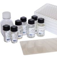 R&D Systems货号DY008B现货DuoSet ELISA Ancillary Reagent Kit 2上海睿安生物R&D Systems-Novus-Tocris官方正式授权代理19121878899