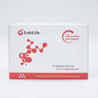 Polymer-HRP Anti-Rabbit IHC Detection System(DAB solution)