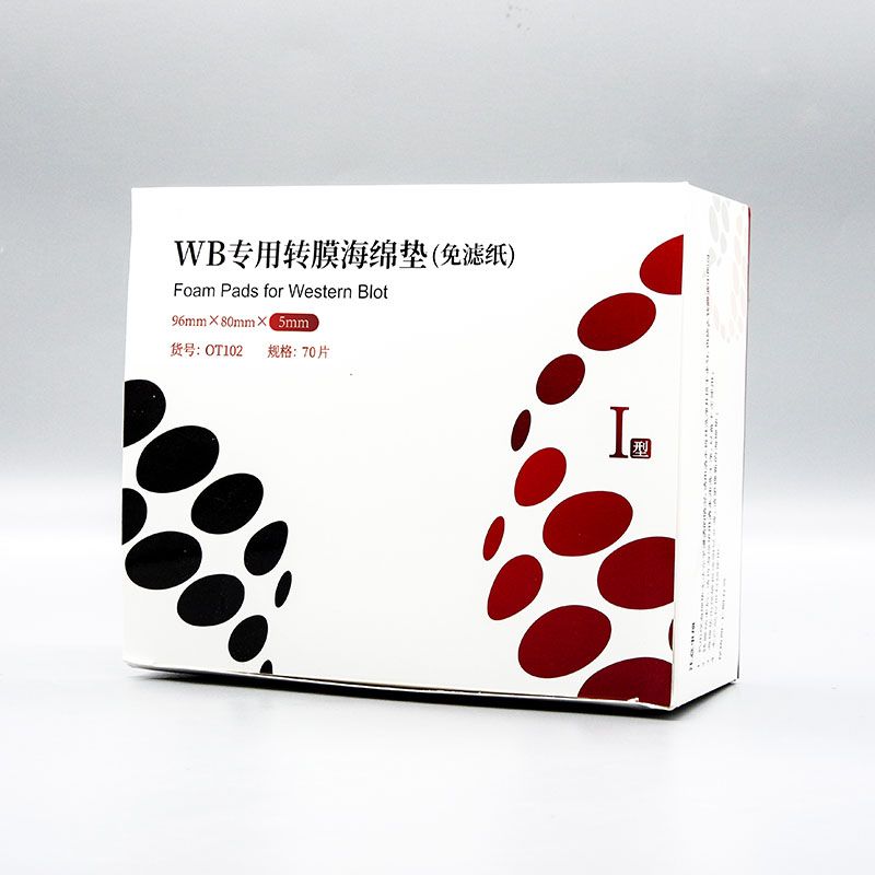 OT102 WB专用转膜海绵垫(免滤纸)I型 推荐用于2块胶转印仪