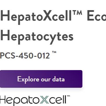 HepatoXcell™系列肝细胞悬浮