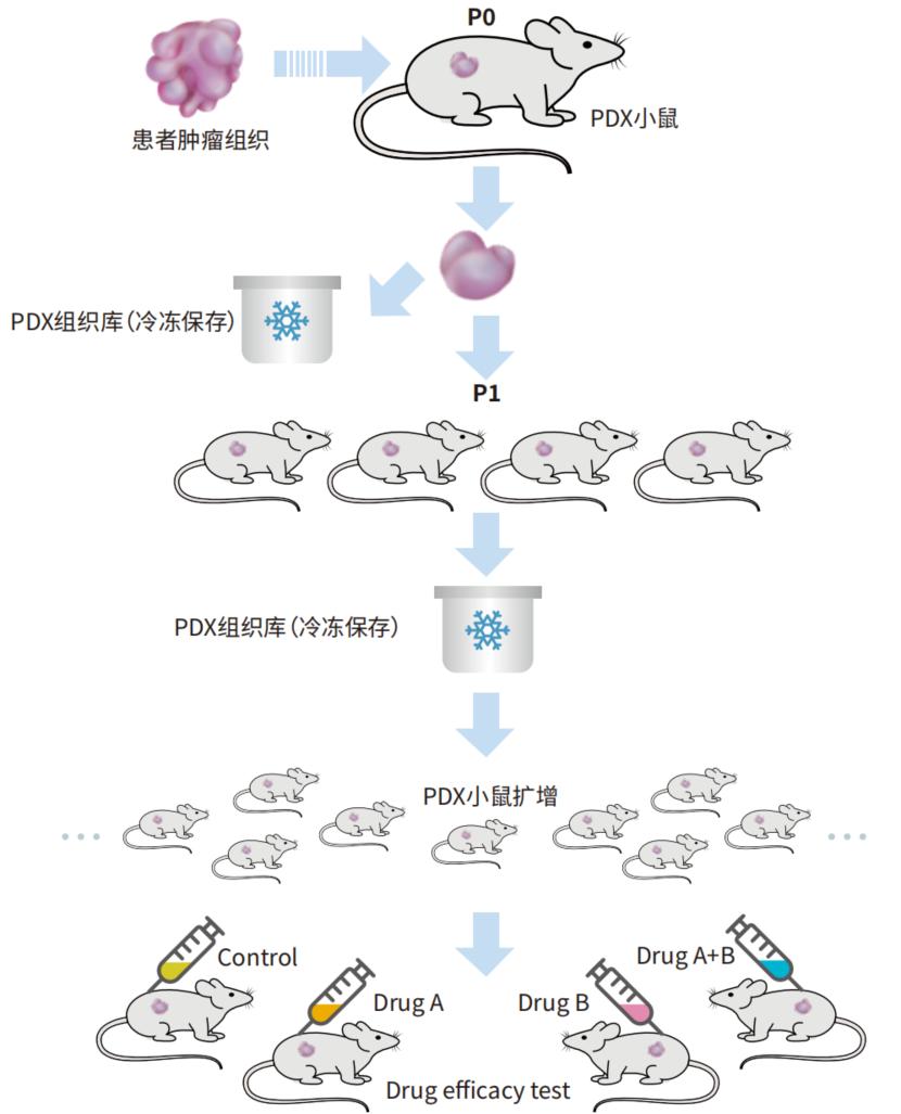 技术资料图片11