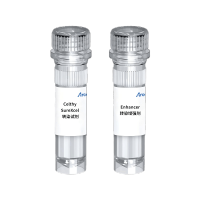 Celthy SureXcel 3000转染试剂