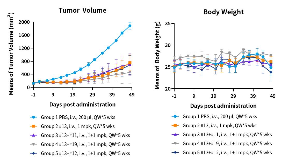 技术资料图片17