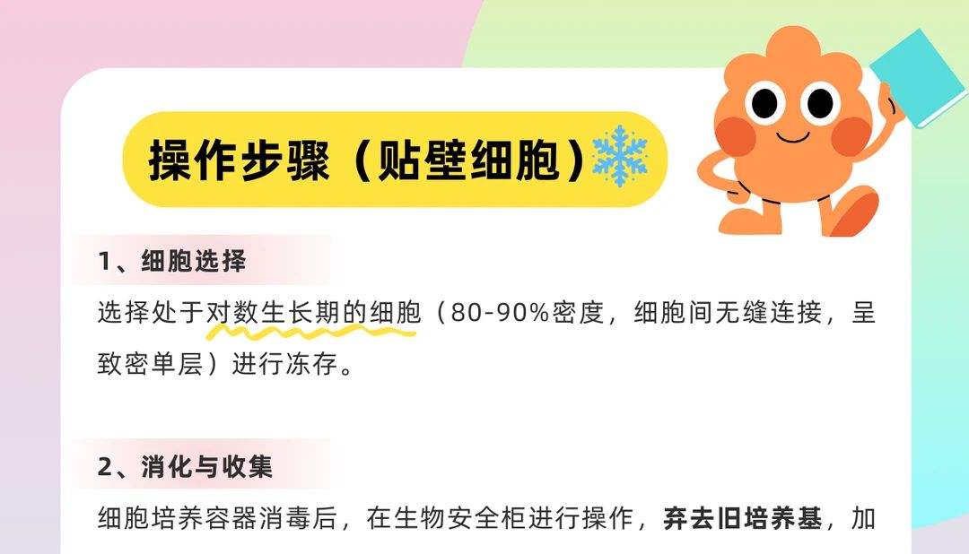 干货 | 细胞冻存新手教程