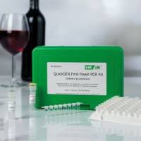 GEN-IAL® QuickGEN Dekkera bruxellensis quantitative (GEN-IAL® QuickGEN 布鲁塞尔酒香杆菌定量检测试剂盒)