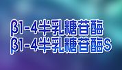 精准“糖链手术刀”：β1-4半乳糖苷酶系列