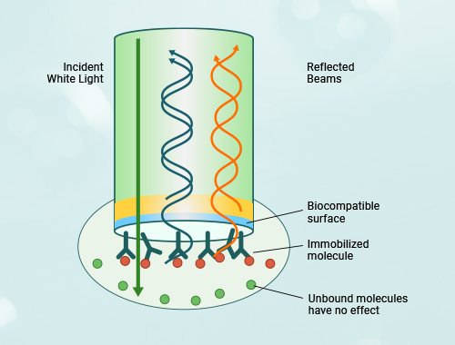 生物膜干涉（BLI）
