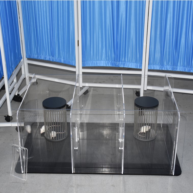 产品细节图片63