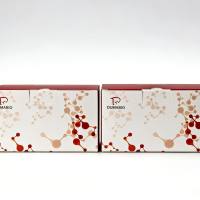 乙酰胆碱酯酶（acetylcholinesterase，AchE）活性测定试剂盒