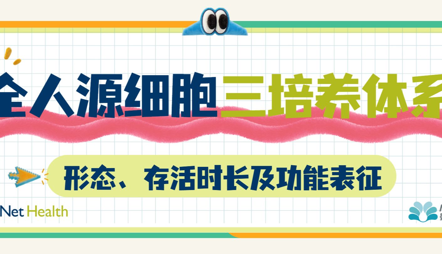 全人源细胞三培养体系｜形态、存活时长及功能特性表征