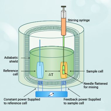 技术服务/分子互作研究/等温滴定微量热(ITC) 无需标记获得完整热力学参数高灵敏度样品可回收
