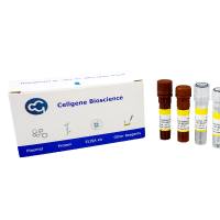 酿酒酵母 宿主细胞 DNA 残留检测试剂盒