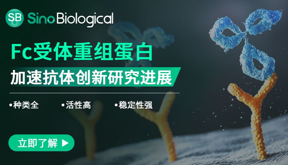 Fc受体重组蛋白：抗体新药设计研发的“好搭子”