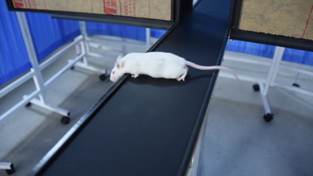 产品细节图片45