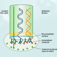 技术服务/分子互作研究/生物膜干涉（BLI）实时检测>免标记>样品消耗少>操作简便>高灵敏度
