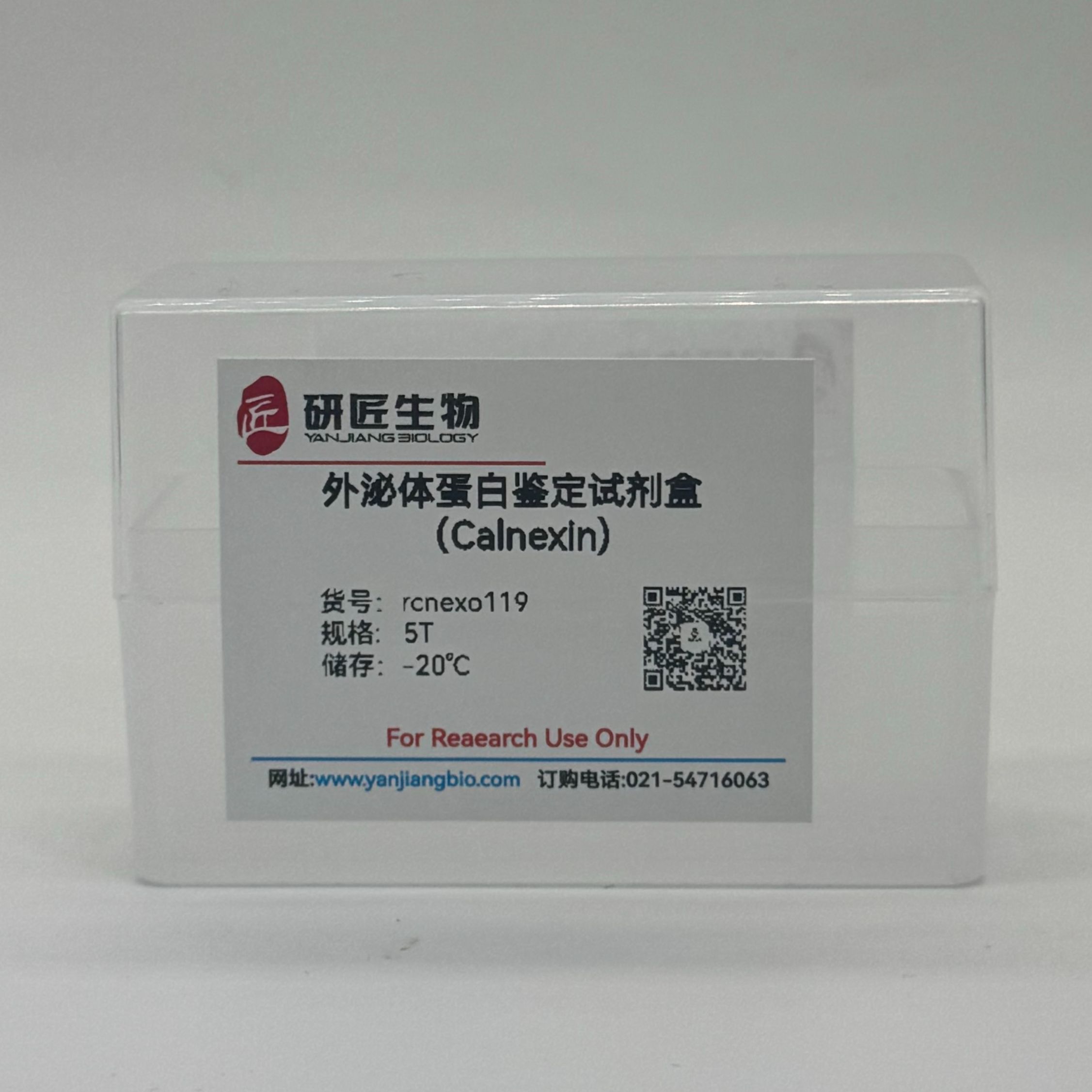 外泌体蛋白鉴定试剂盒(Calnexin)