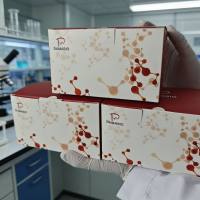 羧酸酯酶(carboxylesterase,CarE)活性测定试剂盒